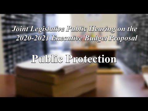 Joint Legislative Public Hearing on 2020-2021 Executive Budget Proposal: Topic Public Protection