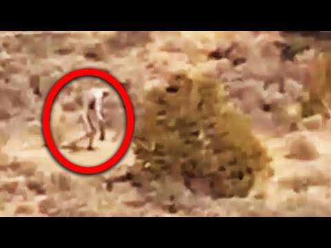 10 Aliens Caught on Camera in Real Life