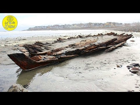 When A Cyclone Pummeled The Coast Of Maine, It Unearthed An Enormous 160 Year Old Relic