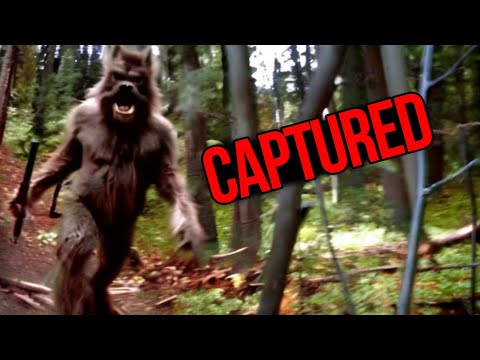 Mega Compilation of Disturbing Trail Cam Footage