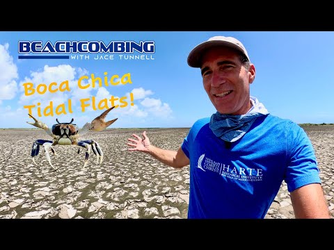 Beachcombing - Boca Chica Tidal Flats