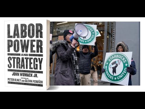 LABOR POWER AND STRATEGY: A PANEL DISCUSSION