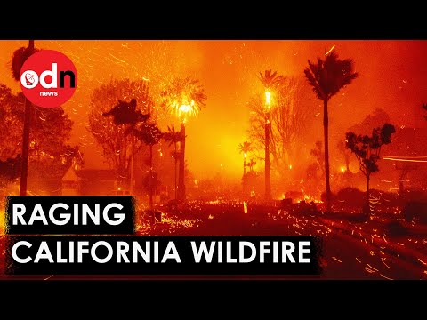 Terrifying Footage Shows California Wildfire Ripping Through Los Angeles