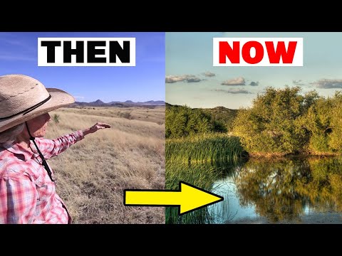 How This Woman Turned Arizona&#039;s Desert into a Farmland Oasis