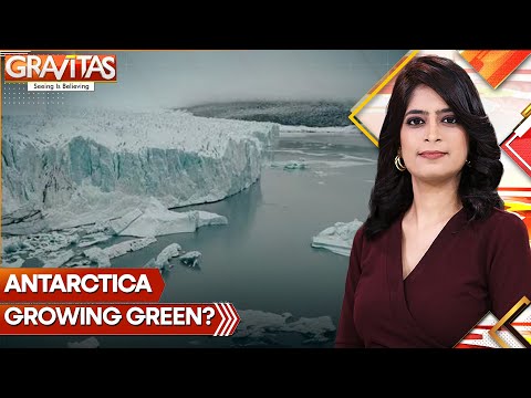 Antarctica Turns Green: Vegetation Cover Is Fast Taking Over Frozen Continent | GRAVITAS