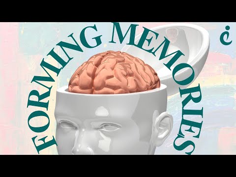 Inside the Mind: How Memories Shape Our Reality! | #neuroscience