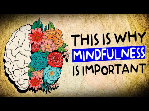 The Power of Mindfulness: 6 Benefits of Practicing Mindfulness in Everyday Life🧘‍♂️🌿