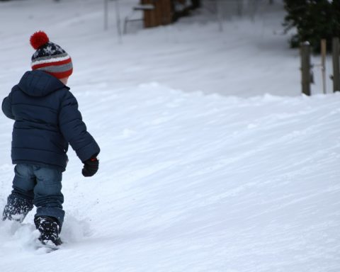 Chaos at the Sledding Hill: A Snow Day’s Tale of Modern Parenting